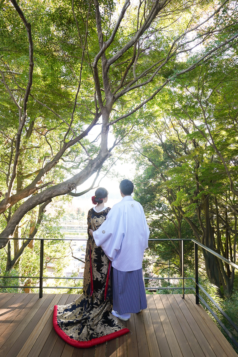 新緑のウッドデッキから眺める景色と後ろ姿