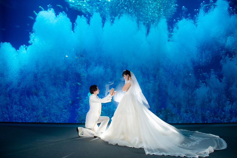 水族館ロケ&スタジオ撮影