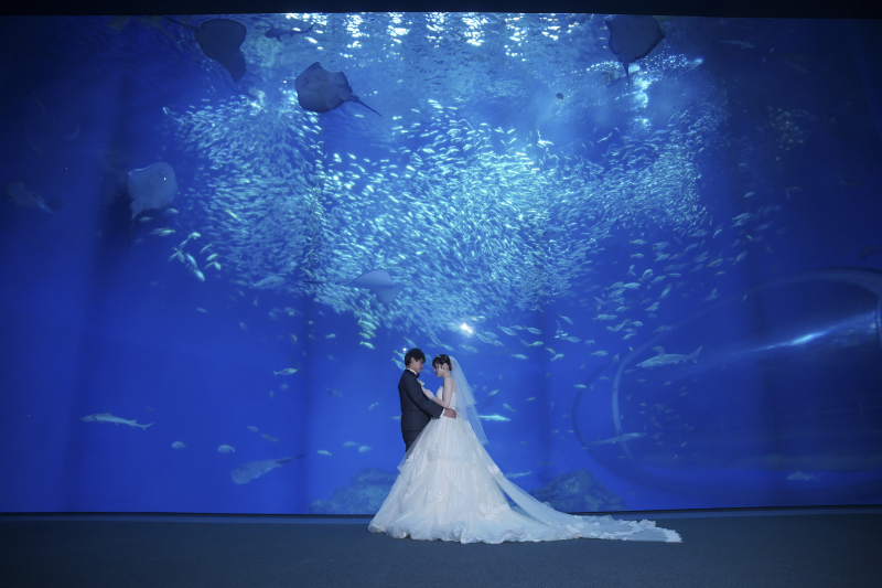 大水槽、ふたりだけの世界