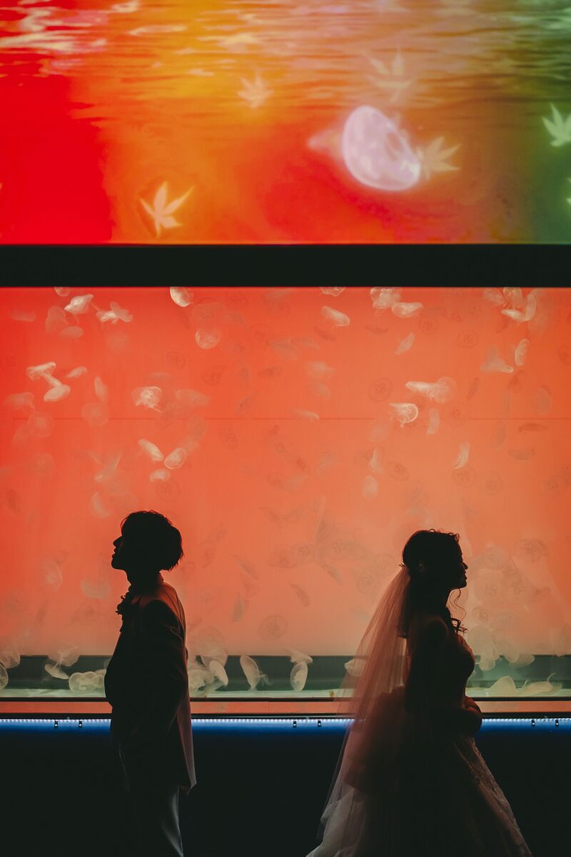 幻想的なカット