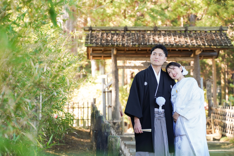 そっと寄り添い