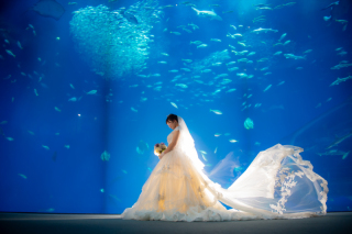 水族館ロケ＆スタジオ撮影