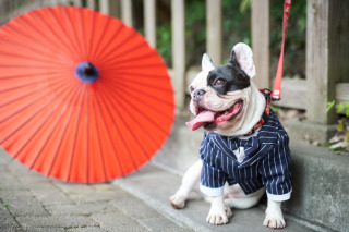 アンシャンテ水戸