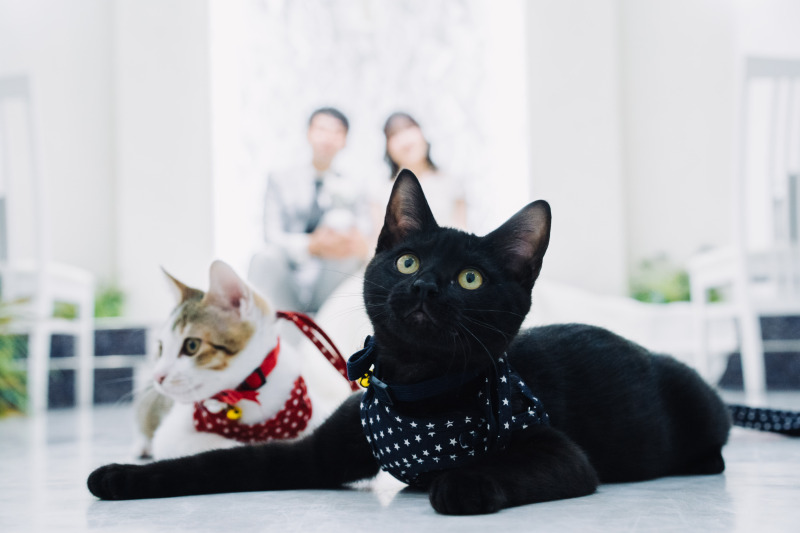 ペットも家族も友人もご参加OK！