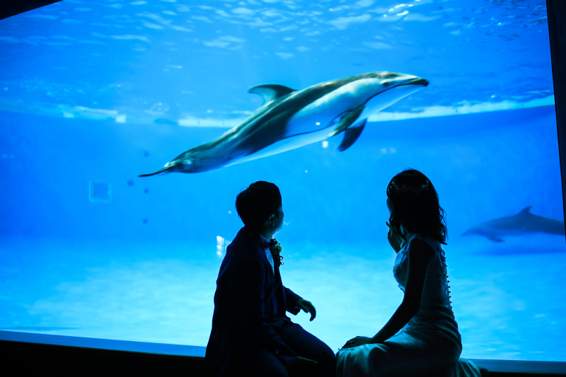 水族館での撮影も可能