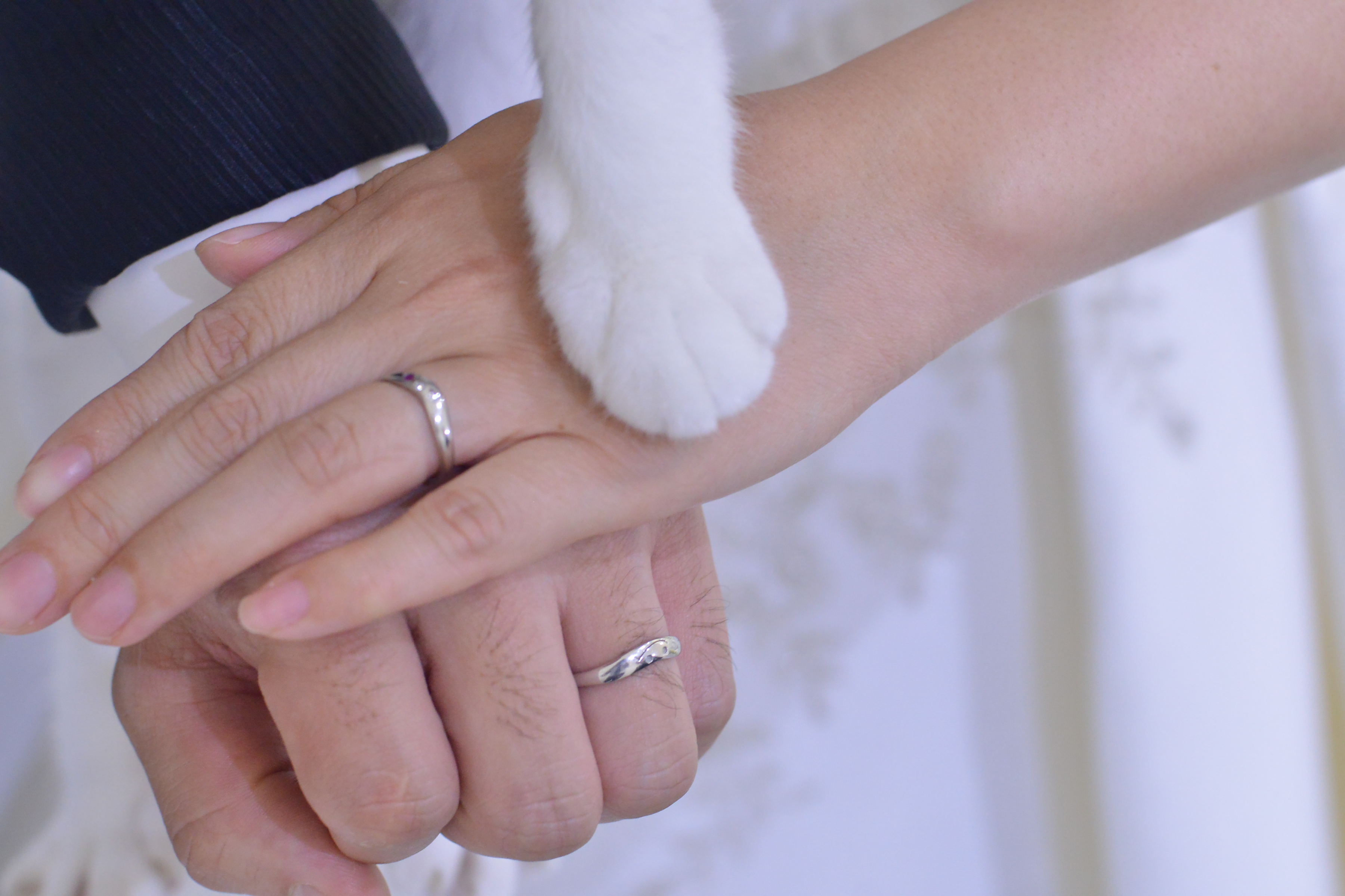 Point1 多彩な撮影シーン