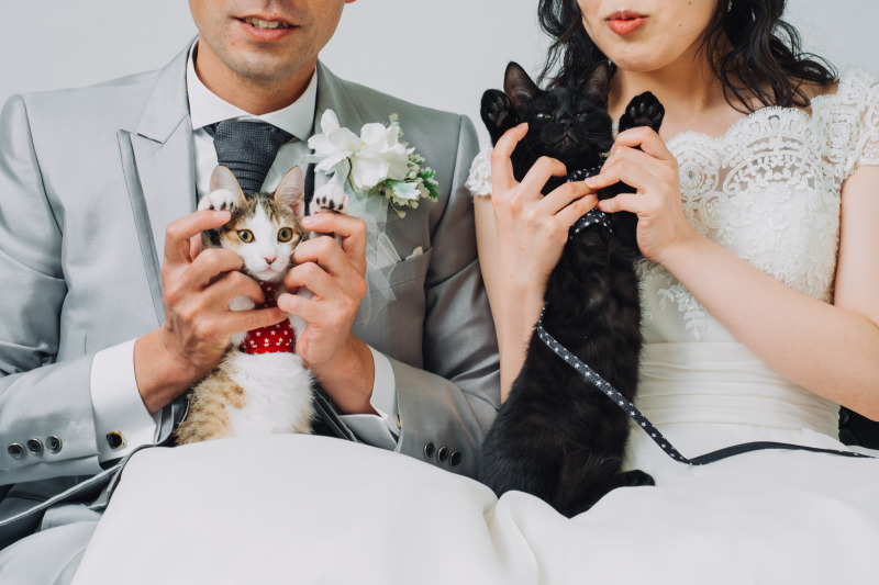 アンシャンテ水戸_ペットと一緒に撮影できる