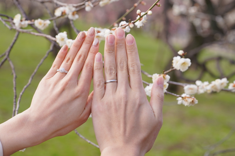 撮影スポット画像