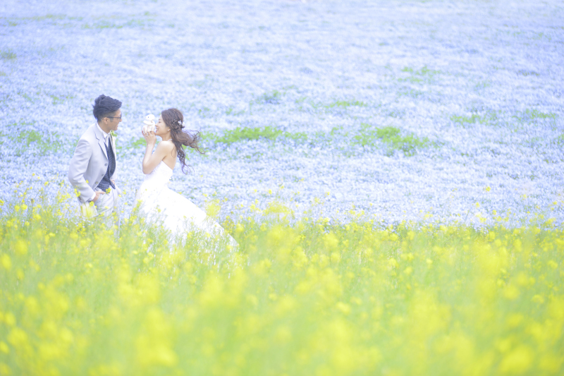 【2026年早割⭐️先行予約】青と蒼のネモフィラフォト☆シンプルプラン