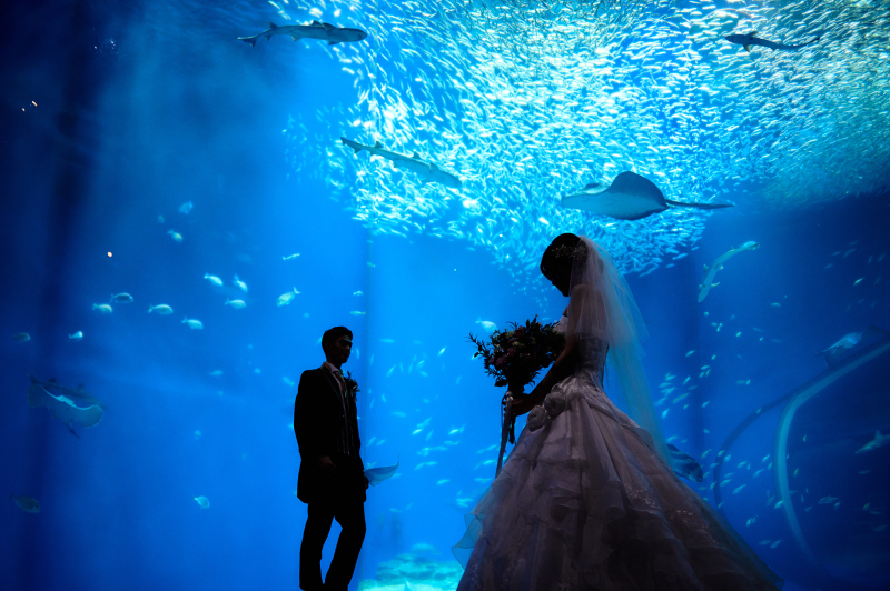 【秋限定】人気衣装×澄んだ秋空の下で叶える、ふたりのウェディング:洋装1着ロケーション撮影♪修正データ付☆