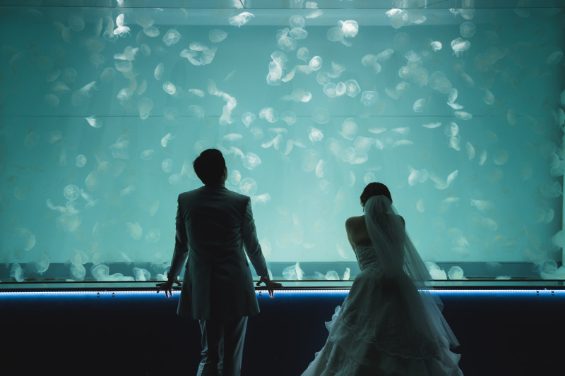 【大洗水族館で撮影!】フォトウェディング♫ユニークベニュー♫