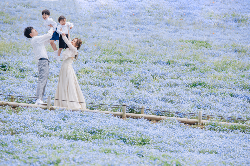【2026年早割⭐️先行予約】青と蒼のネモフィラフォト☆シンプルプラン