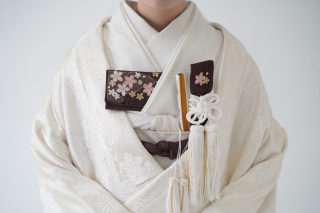 【5点セット】栗皮色