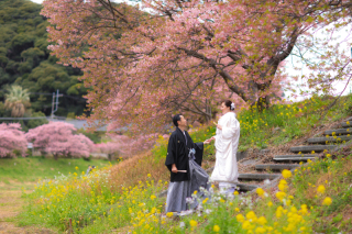 河津桜ロケーション