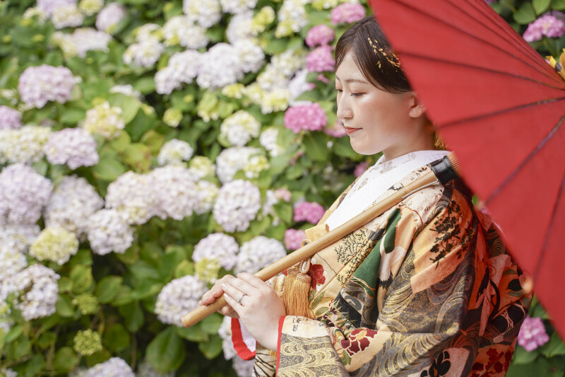 番傘と紫陽花◎