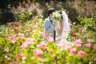 薔薇ロケーション撮影