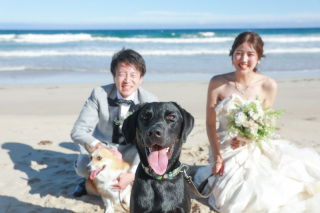家族と愛犬の海辺の思い出