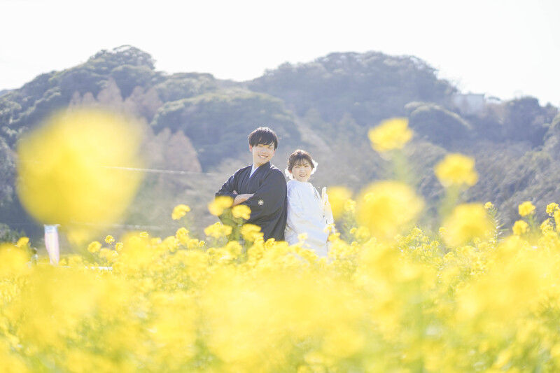 黄色に溶けそう