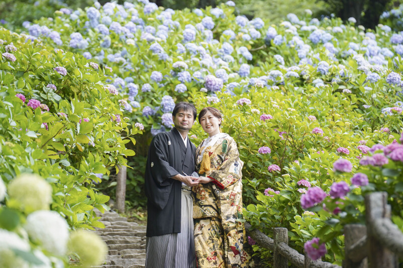 紫陽花と和装