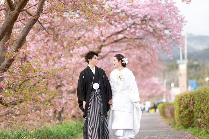 桜の道を歩いて