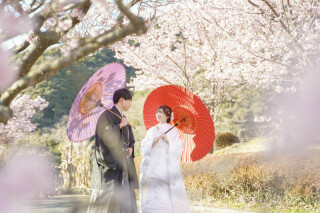 河津桜ロケーション