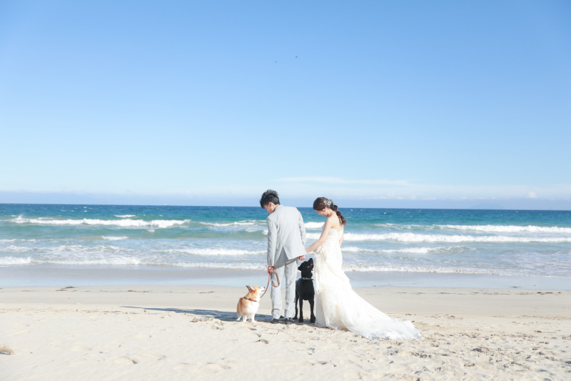 後ろ姿に愛情を込めて