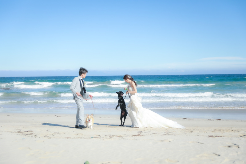 海と、空と、大切な家族