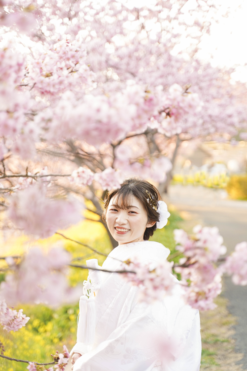 桜に囲まれ。。