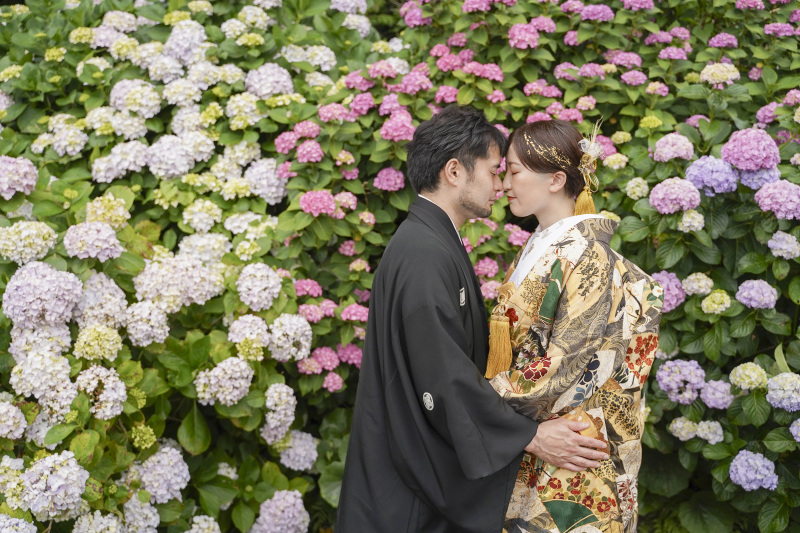 紫陽花に囲まれて。。。