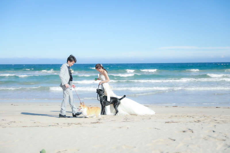 海と笑顔の家族ショット