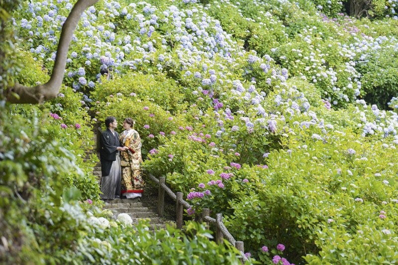 1番の見どころ!