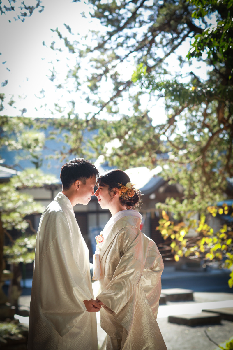 木漏れ日の下で