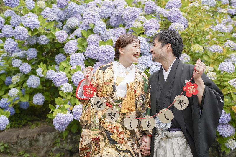 紫陽花さがし♪