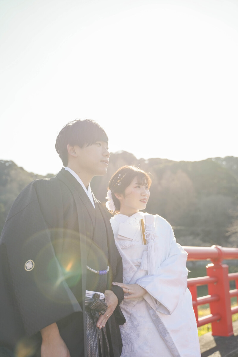 「エモい」の感想