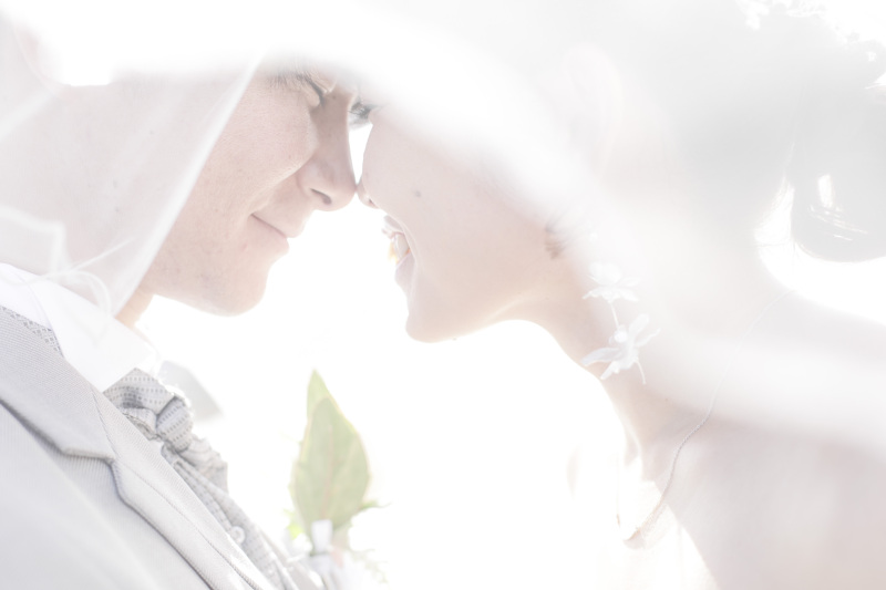 衣装ラインナップは800着