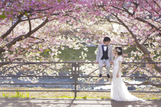 河津桜ロケーションが叶います