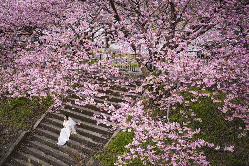 アンシャンテ伊豆_人気スポットで撮影できる