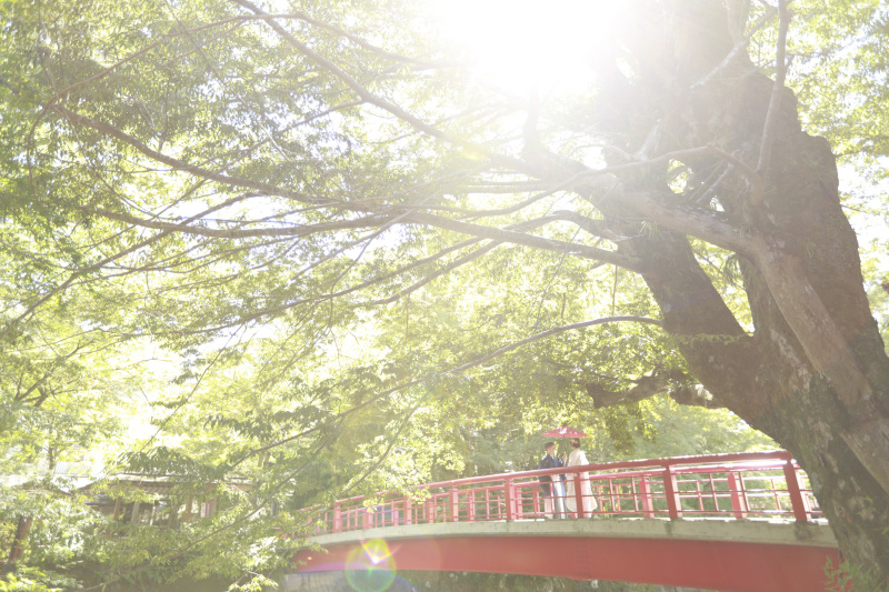 アンシャンテ伊豆_神社・寺院で撮影できる