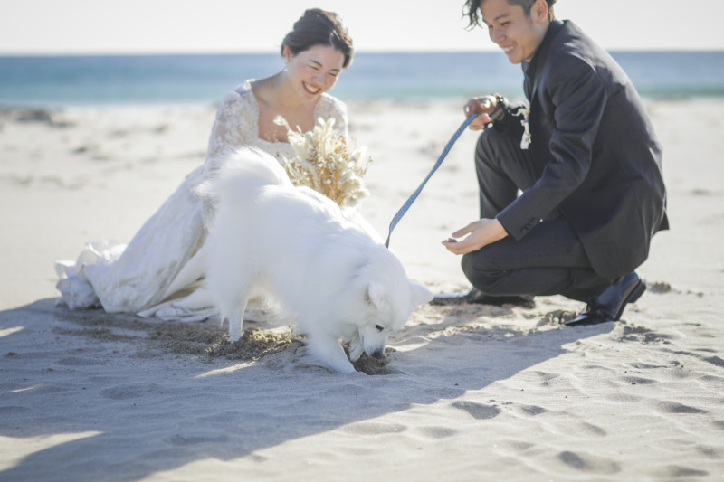 アンシャンテ伊豆_ペットと一緒に撮影できる