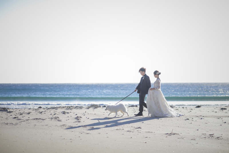 ペットと一緒に海岸で撮影もOK