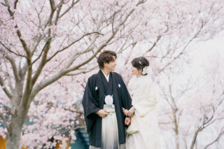 満開の桜に囲まれて