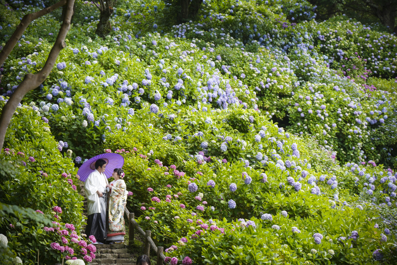 【5・6月限定】Flower Weddingキャンペーン♪選べる洋装or和装★衣装2着ロケ2カ所プラン！全修正データ・送迎車付き