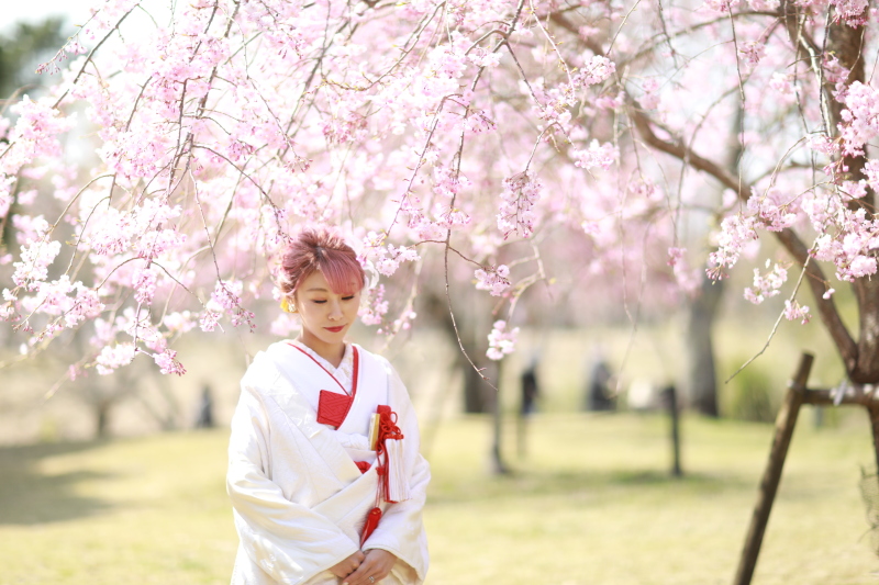 【3・4月限定】スプリングキャンペーン♪選べる洋装or和装★衣装2着ロケ2カ所プラン！全修正データ・送迎車付き