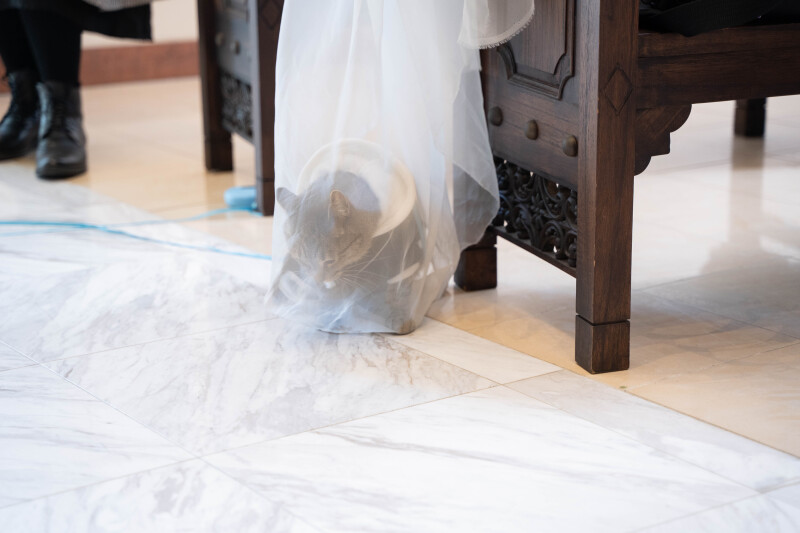 あれれ、どこかな?