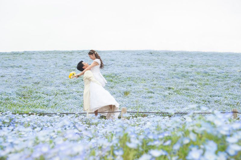 花の丘で叶う映画のような瞬間