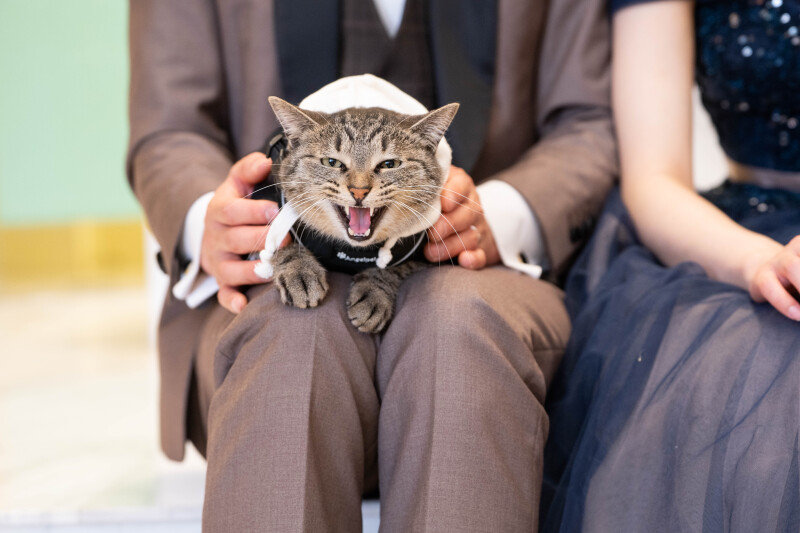 カラードレスにお色直し