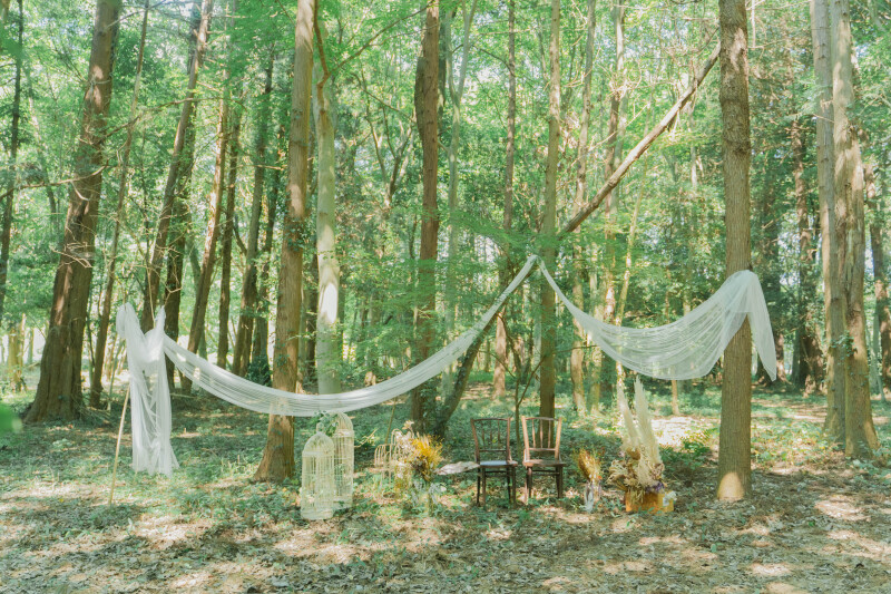 森の中に広がる絵本の中のような空間