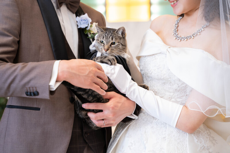 大好きなねこちゃん