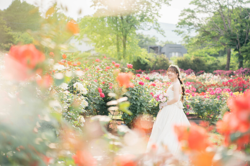 満開のバラに包まれて