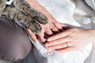 ねこちゃんと一緒